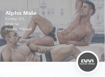 wholesale mens trunks